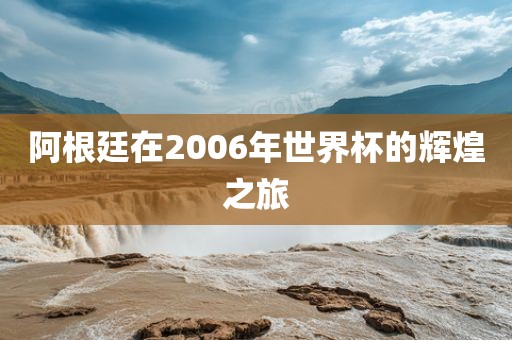 阿根廷在2006年世界杯的辉煌之旅