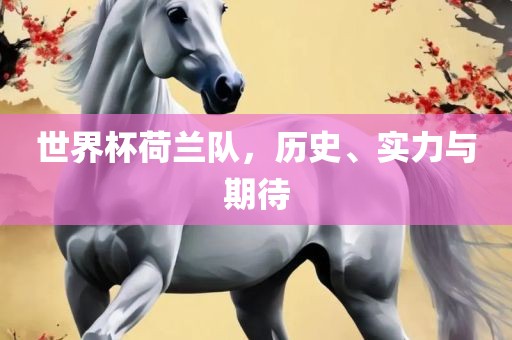 世界杯荷兰队，历史、实力与期待