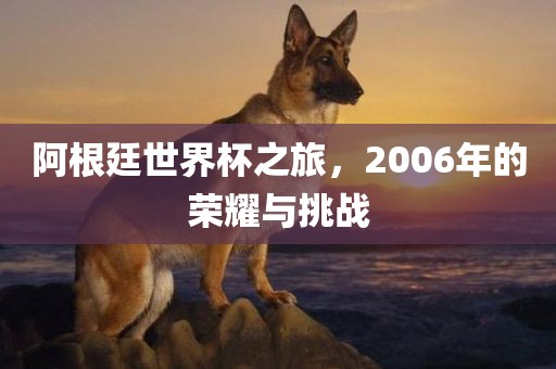 阿根廷世界杯之旅，2006年的荣耀与挑战