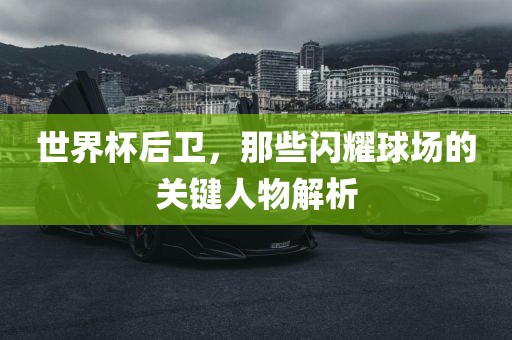 世界杯后卫，那些闪耀球场的关键人物解析洪湖市顺升工程机械租赁有限公司