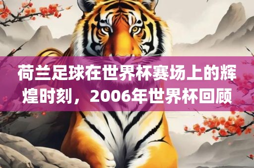 荷兰足球在世界杯赛场上的辉煌时刻，2006年世界杯回顾