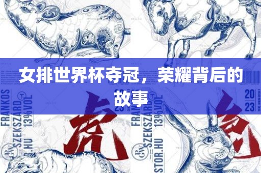 女排世界杯夺冠，荣耀背后的故事