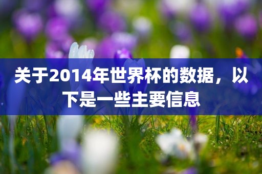 关于2014年世界杯的数据，以下是一些主要信息洪湖市顺升工程机械租赁有限公司