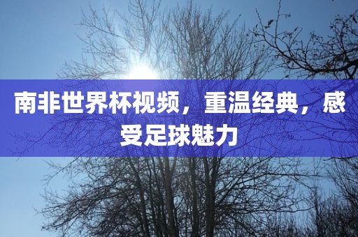 南非世界杯视频，重温经典，感受足球魅力洪湖市顺升工程机械租赁有限公司