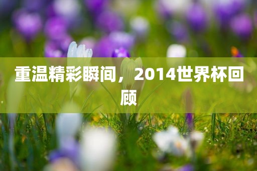 重温精彩瞬间，2014世界杯回顾