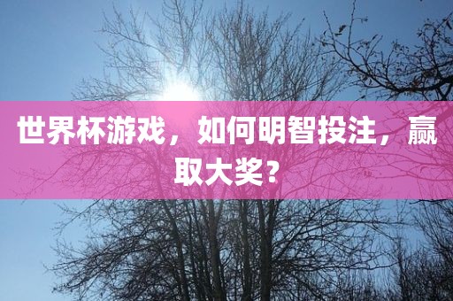 世界杯游戏，如何明智投注，赢取大奖？洪湖市顺升工程机械租赁有限公司