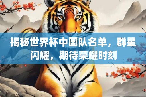 揭秘世界杯中国队名单，群星闪耀，期待荣耀时刻