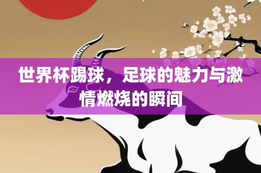 世界杯踢球，足球的魅力与激情燃烧的瞬间