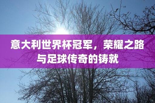 意大利世界杯冠军，荣耀之路与足球传奇的铸就