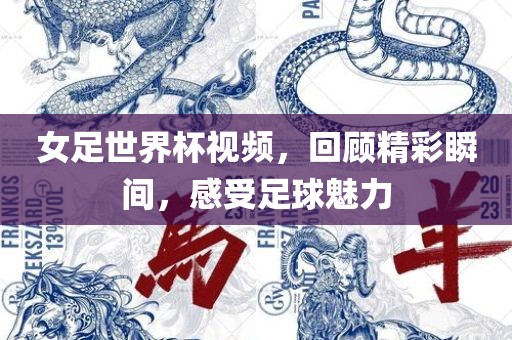 女足世界杯视频，回顾精彩瞬间，感受足球魅力