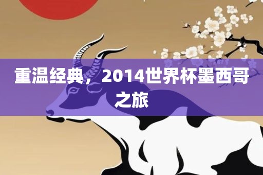 重温经典，2014世界杯墨西哥之旅洪湖市顺升工程机械租赁有限公司