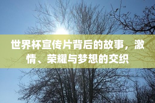 世界杯宣传片背后的故事，激情、荣耀与梦想的交织