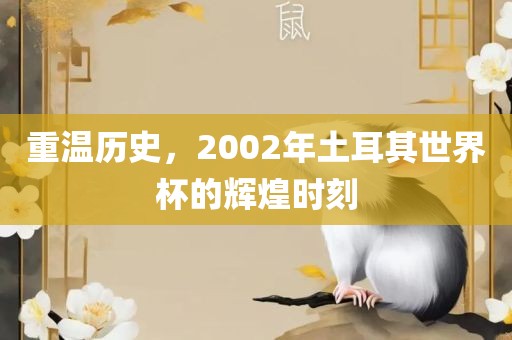 重温历史，2002年土耳其世界杯的洪湖市顺升工程机械租赁有限公司辉煌时刻