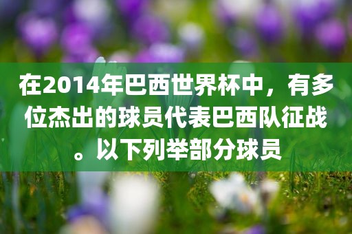 在2014年巴西洪湖市顺升工程机械租赁有限公司世界杯中，有多位杰出的球员代表巴西队征战。以下列举部分球员