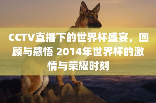 CCTV直播下的世界杯盛宴，回顾与感悟 2014年世界杯的激情与荣耀时刻