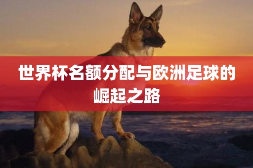 世界杯名额分配与欧洲足球的崛起之路