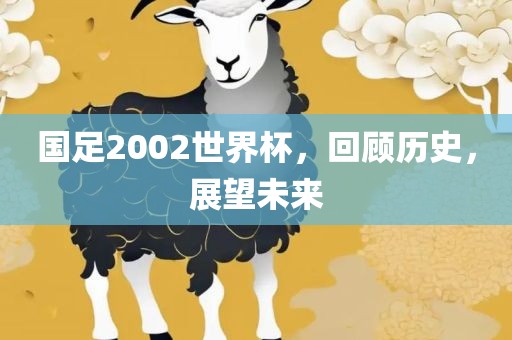 国足2002世界杯，回洪湖市顺升工程机械租赁有限公司顾历史，展望未来