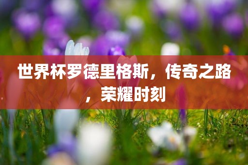 世界杯罗德里格斯，传奇之路，荣耀时刻