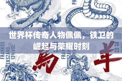 世界杯传奇人物佩佩，铁卫的崛起与荣耀时刻