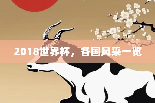 2018世界杯，各国风采一览