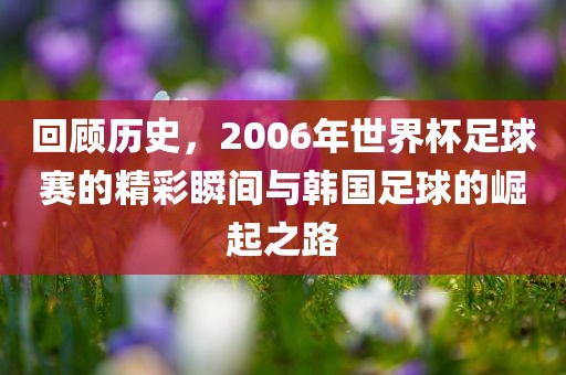 回顾历史，2006年世界杯足球赛的精彩瞬间与韩国足球的崛起之路