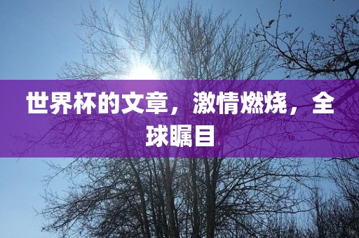 世界杯的文章，激情洪湖市顺升工程机械租赁有限公司燃烧，全球瞩目