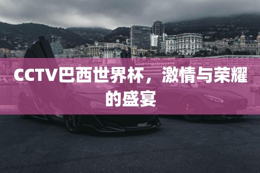 CCT洪湖市顺升工程机械租赁有限公司V巴西世界杯，激情与荣耀的盛宴