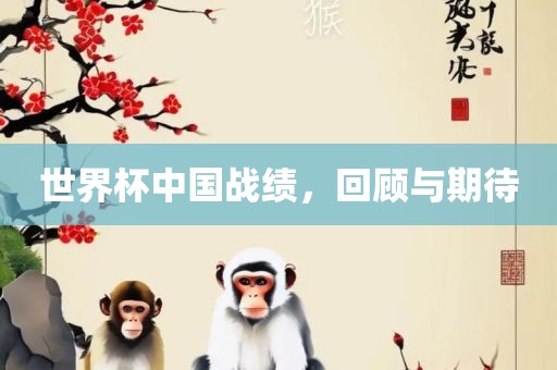 世界杯中洪湖市顺升工程机械租赁有限公司国战绩，回顾与期待