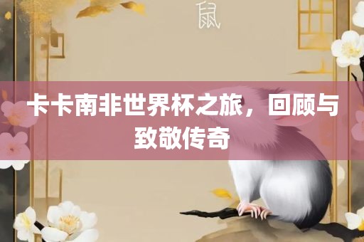 卡卡南非世界杯之旅，回顾与致敬传奇洪湖市顺升工程机械租赁有限公司