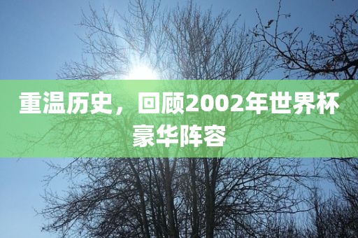重温历史，回顾2002年世界杯豪华阵容