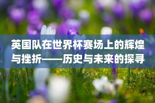 英国队在世界杯赛场上的辉煌与挫折——历史与未来的探寻
