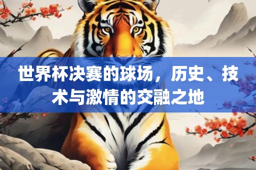 世界杯决赛的球场，历史、技术与激情的交融之地洪湖市顺升工程机械租赁有限公司