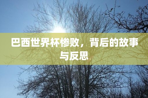 巴西世界杯惨败，背后的故事与反思