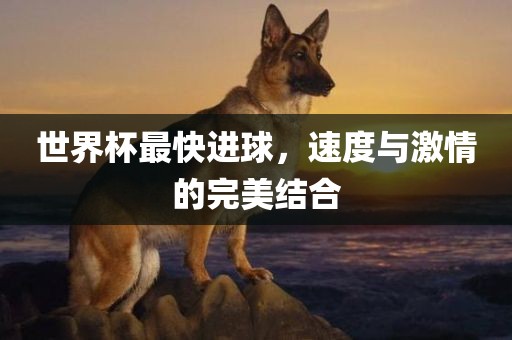 世界杯最快进球，洪湖市顺升工程机械租赁有限公司速度与激情的完美结合