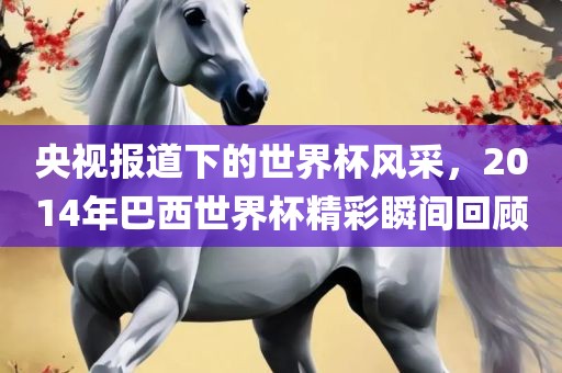 央视报道下的世界杯风采，2014年巴西世界杯精彩瞬间回顾