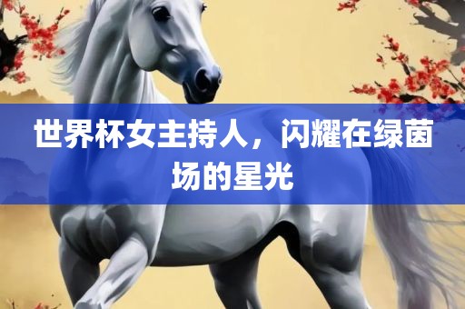 世界杯女主持人，闪耀在绿茵场的星光