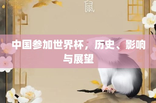 洪湖市顺升工程机械租赁有限公司中国参加世界杯，历史、影响与展望