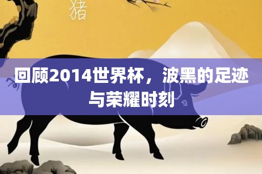 回顾2014世界杯，波黑的足迹与荣耀时刻