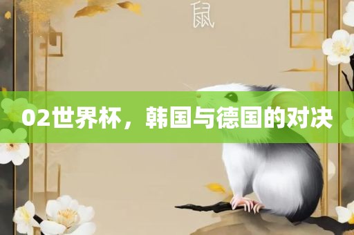 02世界杯，韩国与德国的对决洪湖市顺升工程机械租赁有限公司