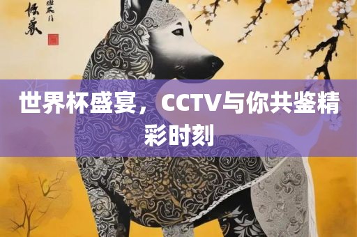 世界杯盛宴，CCTV与你共鉴精彩时刻洪湖市顺升工程机械租赁有限公司