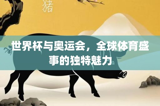世界杯与奥运会，全球体育盛事的独特魅力
