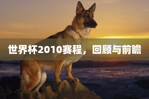 世界杯2010赛程，回顾与前瞻