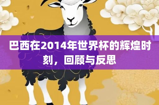 巴西在2014年世界杯的辉煌时刻，回顾与反思