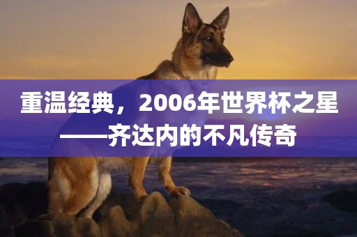 重温经典，2006年世界杯之星——齐达内的不凡传奇