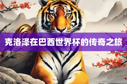 巴西世界杯传奇之旅