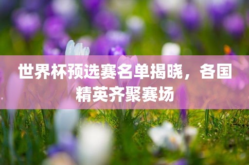 世界杯预选赛名单揭晓，各国精英齐聚赛场