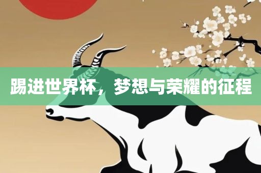 踢进世界杯，梦想与荣耀的征程