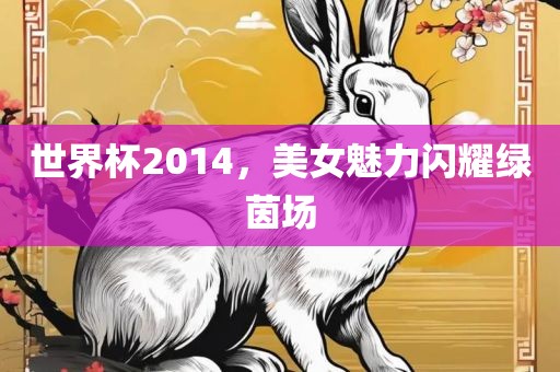 世界杯2014，美女魅力闪耀绿茵场