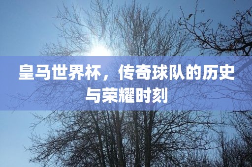 皇马世界杯，传奇球队的历史与荣耀时刻