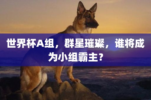 世界杯A组，群星璀璨，谁将成为小组霸主？